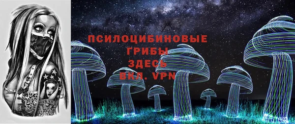 spice Богородск