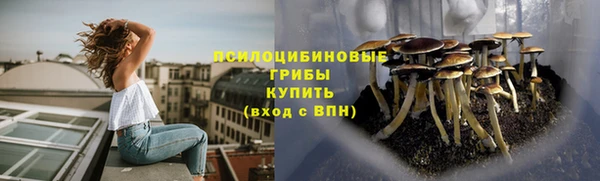 spice Богородск