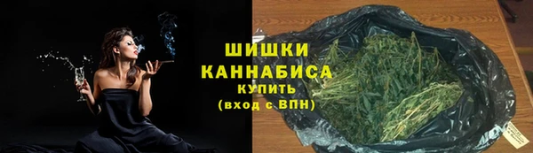 прущий лед Богородицк