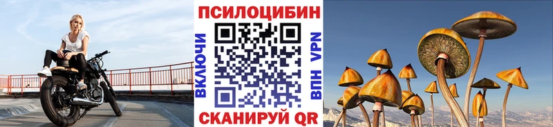 купить наркотики сайты Менделеевск Псилоцибиновые грибы GOLDEN TEACHER
